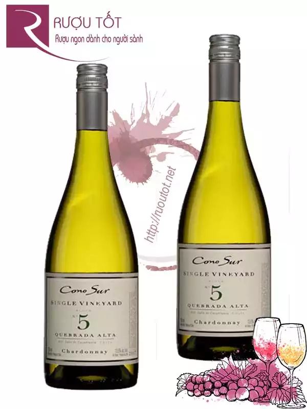 Vang Chile Cono Sur Single Vineyard 5 Quebrada Alta Chardonnay