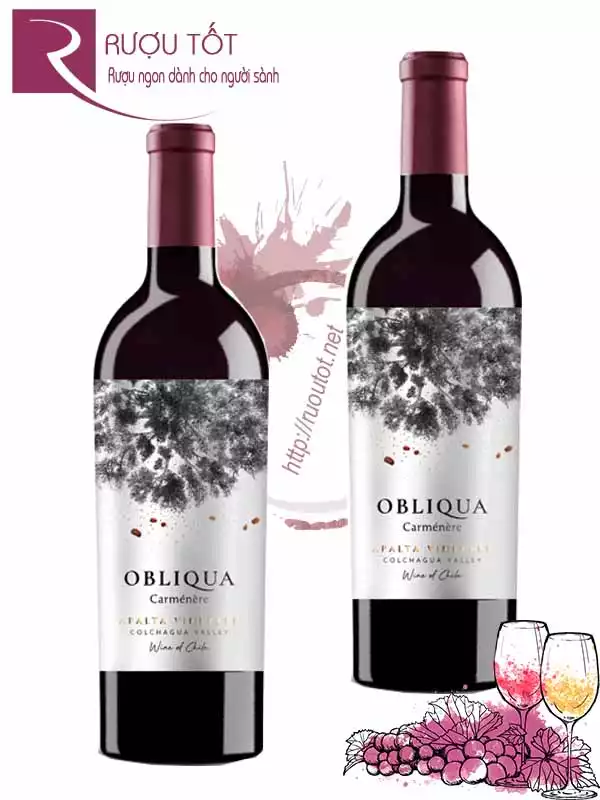 Vang Chile Obliqua Carmenere Colchagua Valley