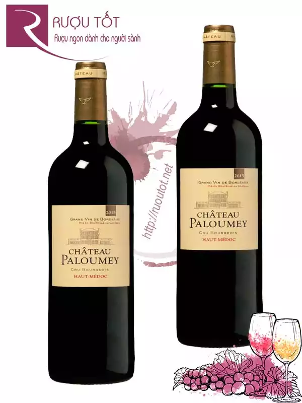 Vang Pháp Chateau Paloumey Cru Bourgeois Haut Medoc Hảo hạng