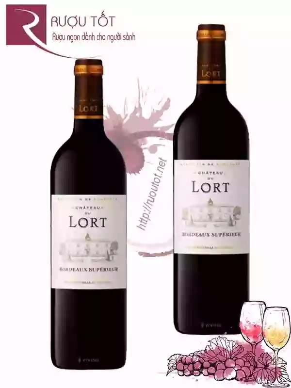 Rượu Vang Chateau du Lort Bordeaux Superieur Hảo hạng