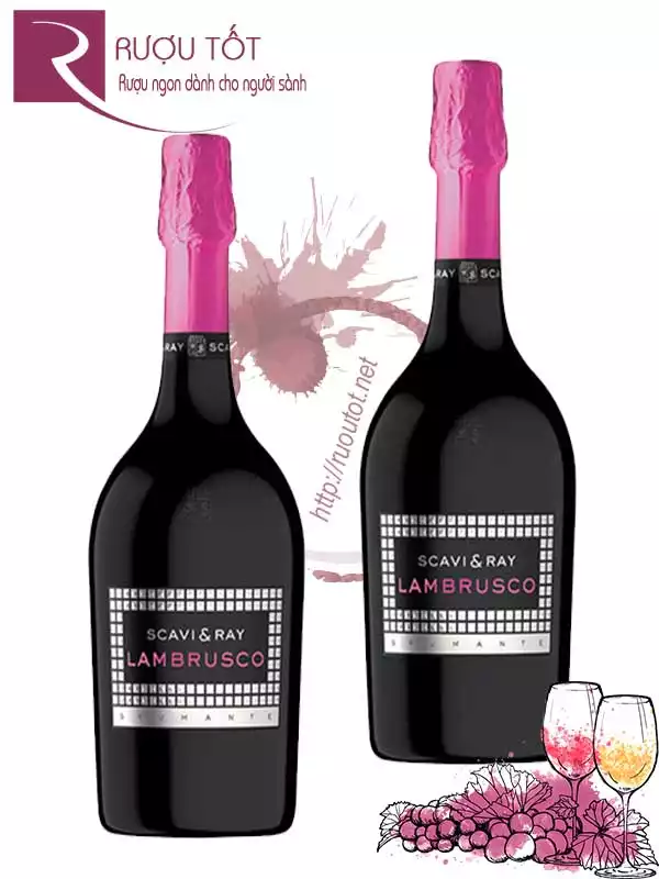 Vang nổ Ý Scavi & Ray Lambrusco Spumante Giá Tốt