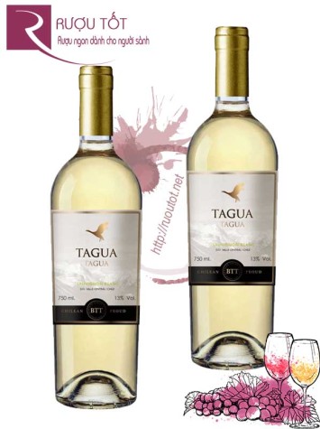 Rượu Vang Tagua Tagua Sauvignon Blanc Giá Tốt