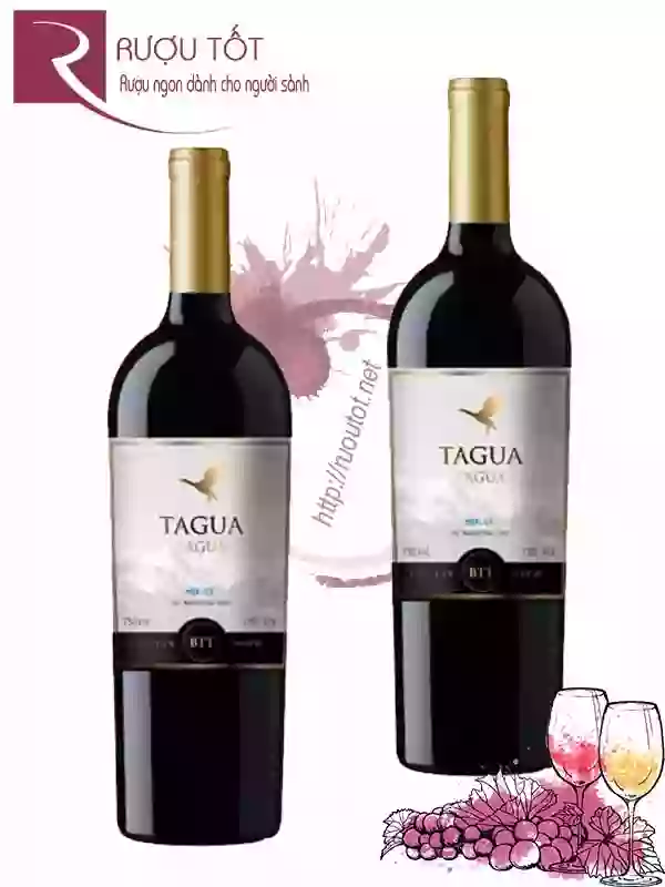 Rượu Vang Tagua Tagua Merlot Central Valley Giá Tốt