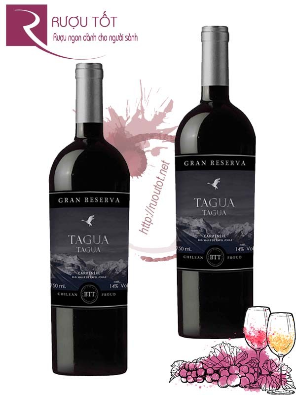 Rượu Vang Tagua Tagua Gran Reserva Carmenere Giá Tốt