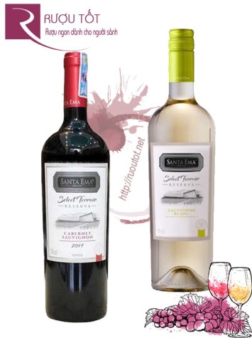 Rượu Vang Santa Ema Select Terroir Reserva Red - White Giá Tốt