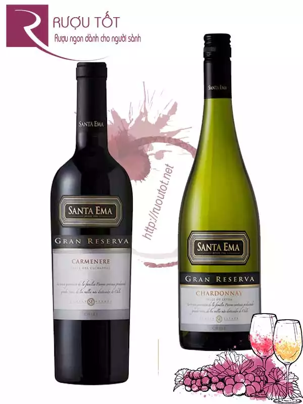 Rượu Vang Chile Santa Ema Gran Reserva Red - White