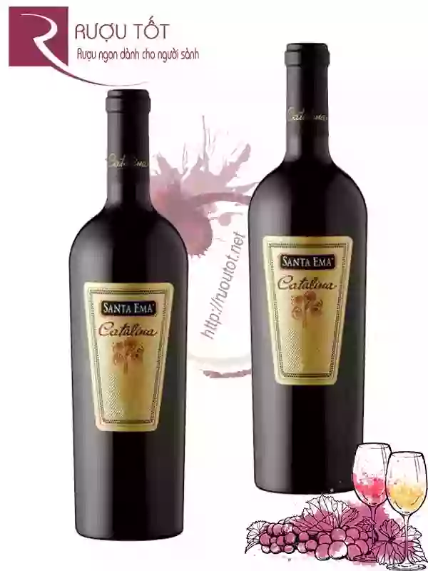 Rượu Vang Catalina Icon Santa Ema Giá Tốt