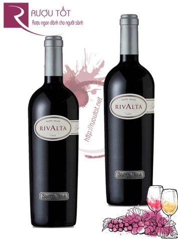 Rượu Vang Rivalta Santa Ema Icon Maipo Valley Giá tốt