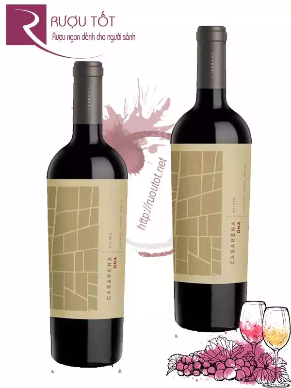 Rượu Vang Casarena DNA Malbec