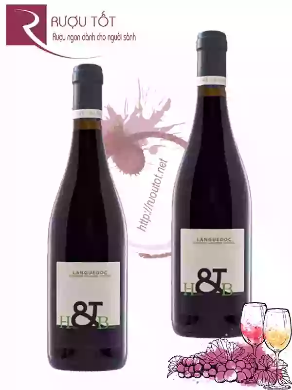 Vang Pháp Hecht & Bannier Languedoc Red Hảo hạng