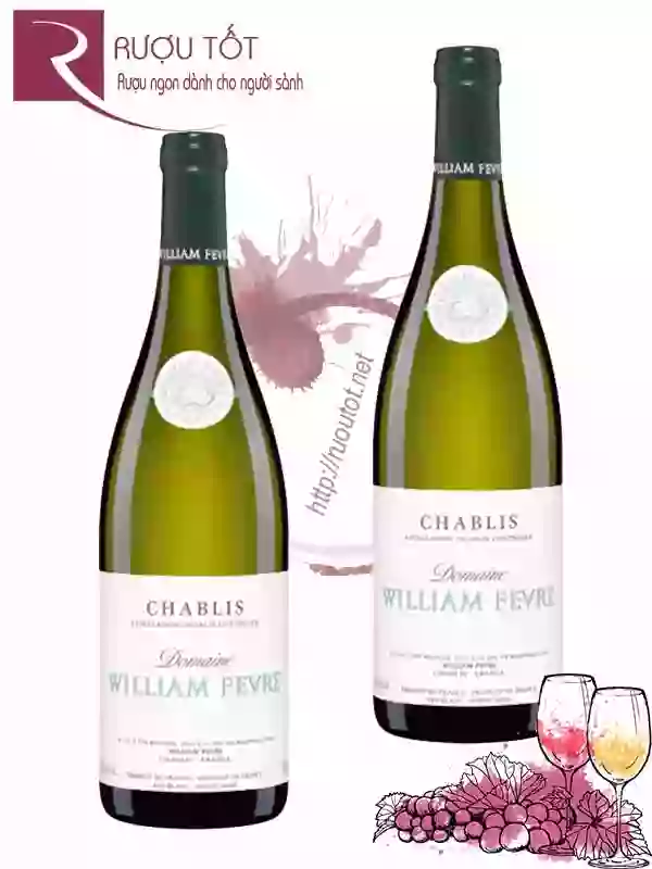Rượu Vang William Fevre Chablis