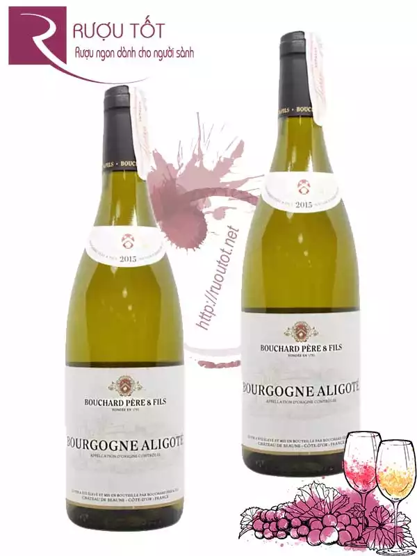 Vang Pháp Bourgogne Aligote Bouchard Pere et Fils Blanc