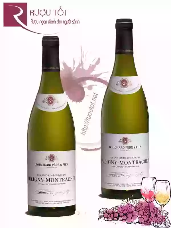 Vang Pháp Puligny Montrachet Blanc Bouchard Pere et Fils Hảo hạng