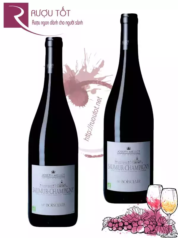 Vang Pháp Saumur Champigny Le Boisclair Organic Hảo hạng