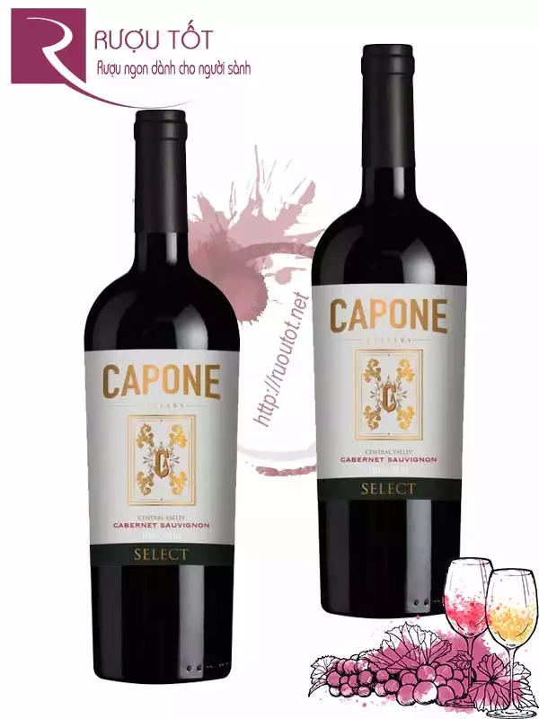 Vang Chile Capone Selected Cabernet Sauvignon Giá tốt