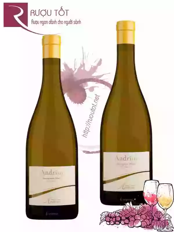 Rượu Vang Andrius Sauvignon Blanc Andrian
