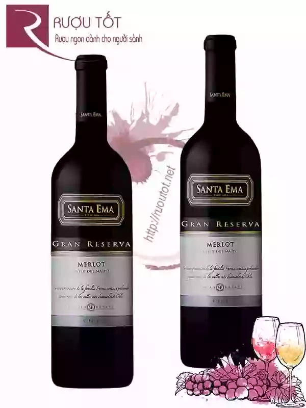 Rượu Vang Santa Ema Merlot Gran Reserva Giá Rẻ