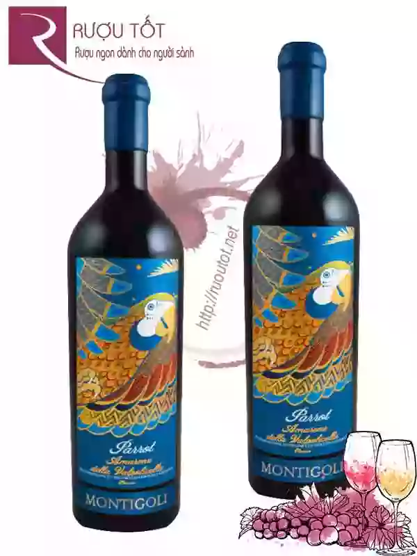 Rượu Vang Parrot Amarone Classico Cao Cấp