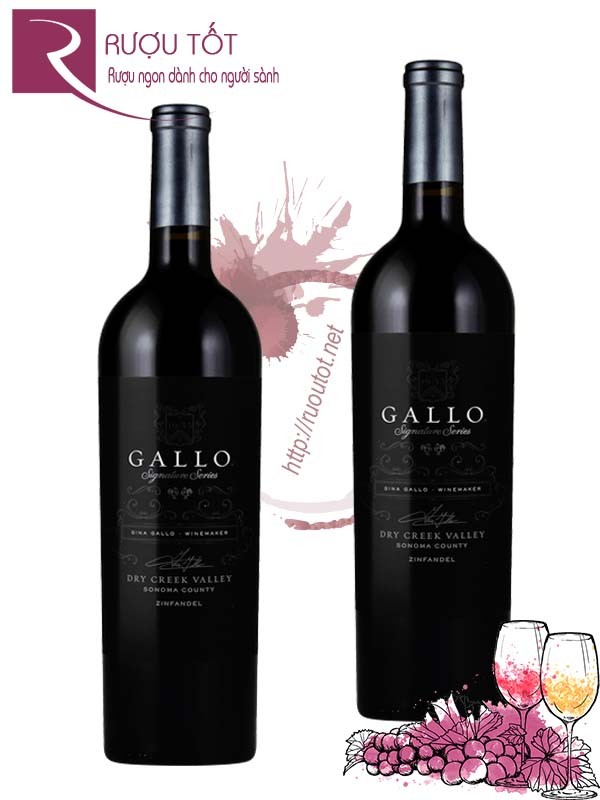 Rượu Vang Gallo Dry Creek Valley Signature Series Zinfandel