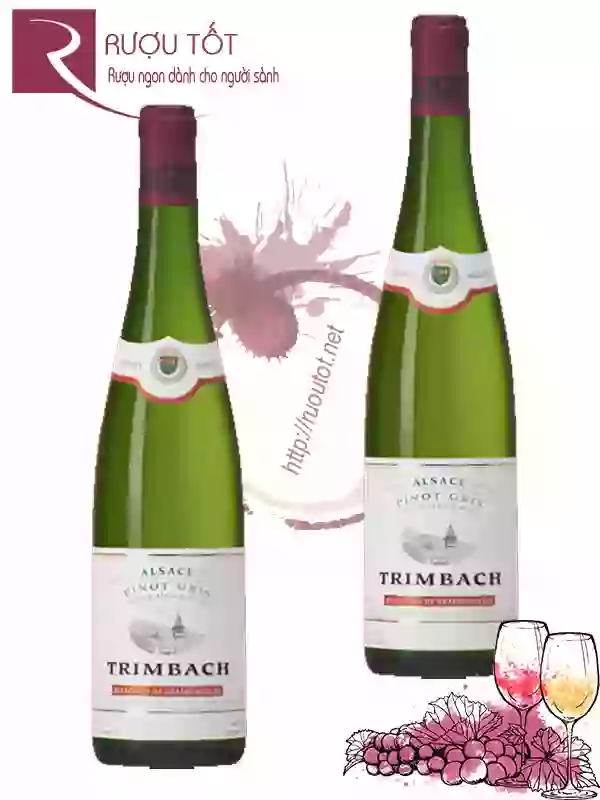 Vang Pháp Pinot Gris Trimbach Alsace Selection de Grains Nobles Cao cấp