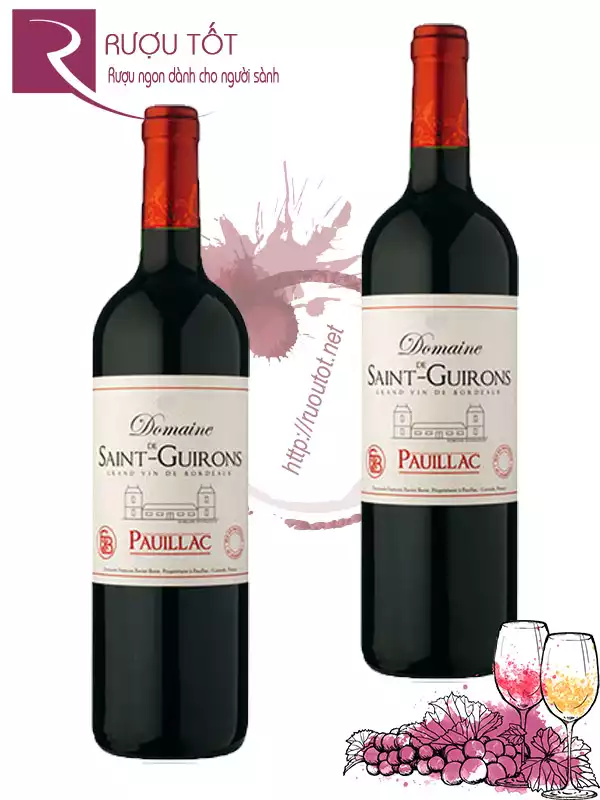 Vang Pháp Domaine de Saint Guirons Pauillac Thượng hạng