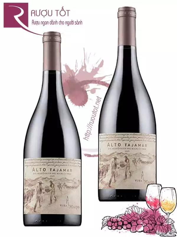 Vang Chile Alto Tajamar Vina Maipo Thượng hạng