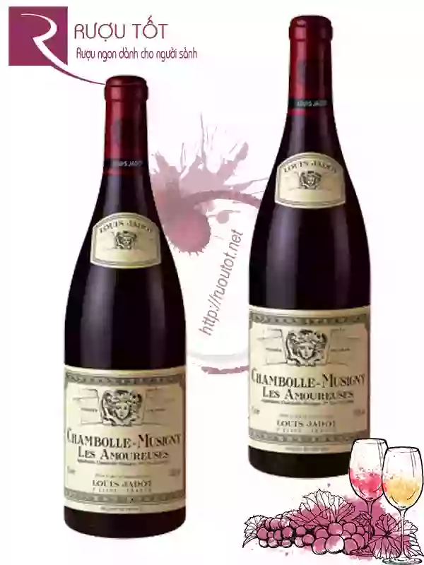 Vang Pháp Chambolle Musigny Les Amoureuses Louis Jadot