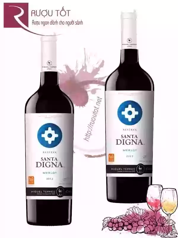 Rượu Vang Santa Digna Merlot Reserva Miguel Torres
