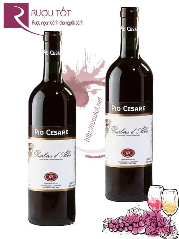 Rượu Vang Pio Cesare Barbera d'Alba Cao Cấp