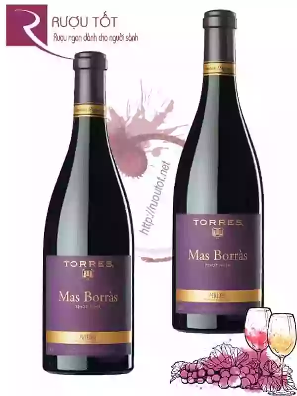 Rượu vang Torres Mas Borras Pinot Noir Thượng hạng