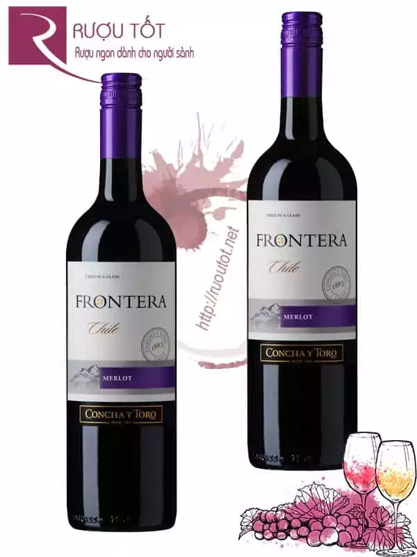 Vang Chile Frontera Merlot Hảo hạng