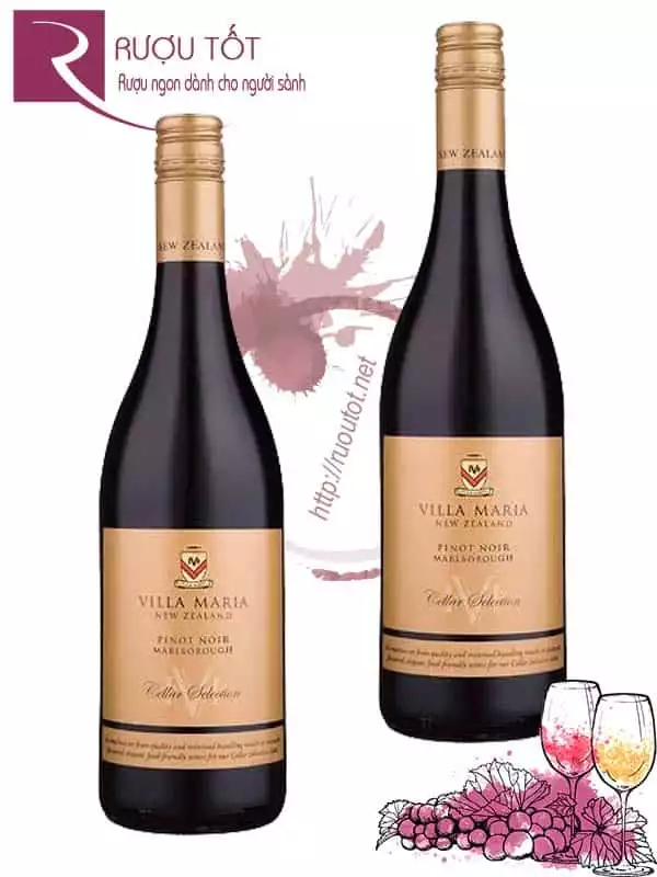 Rượu Vang Villa Maria Pinot Noir Cellar Selection