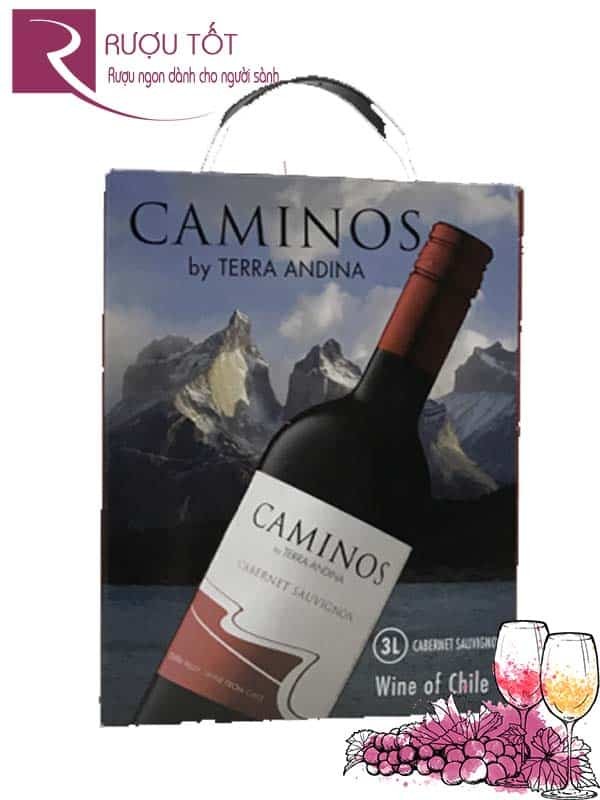 Vang bịch Chile Caminos Cabernet Sauvignon 3 Lít Thượng hạng
