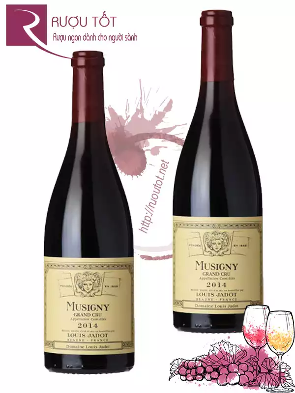 Vang Pháp Musigny Grand Cru Louis Jadot Hảo hạng