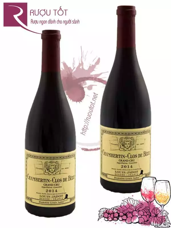 Vang Pháp Chambertin Clos de Beze Louis Jadot 2013