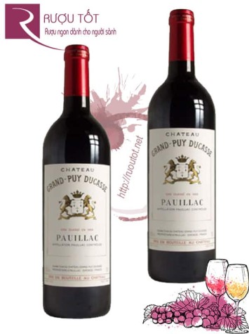 Rượu Vang Chateau Grand Puy Ducasse Thượng hạng