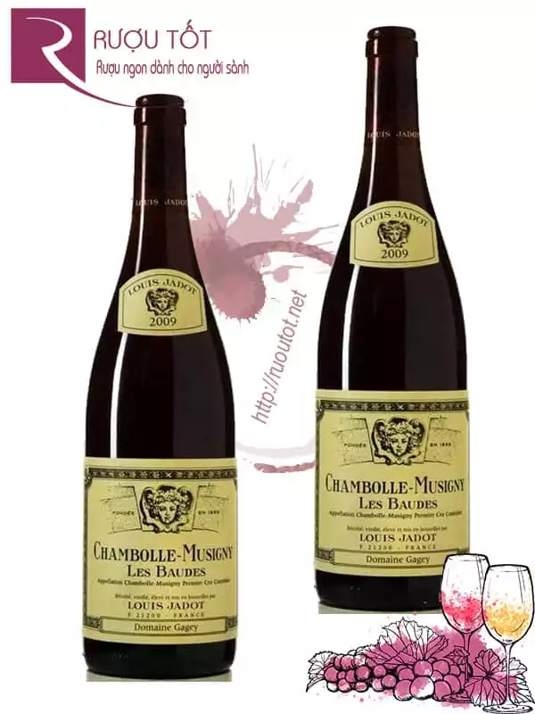 Vang Pháp Chambolle Musigny Les Baudes Louis Jadot Cao cấp