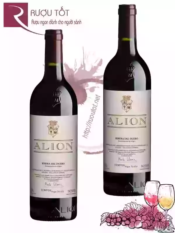 Rượu vang Alion Vega Sicilia Thượng Hạng
