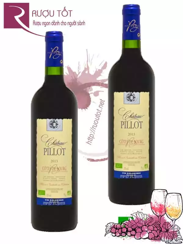 Vang Pháp Chateau Pillot Cotes de Bourg Thượng hạng