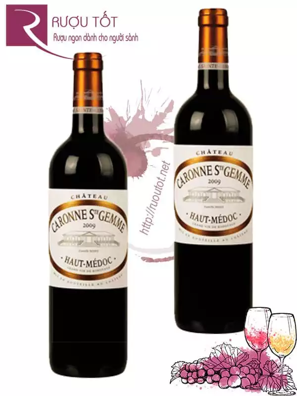 Vang Pháp Caronne Ste Gemme Haut Medoc Chateau Thượng hạng