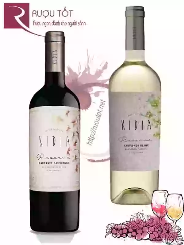 Rượu vang Chile Kidia Reserva Sauvignon Blanc - Cabernet Sauvignon Thượng hạng