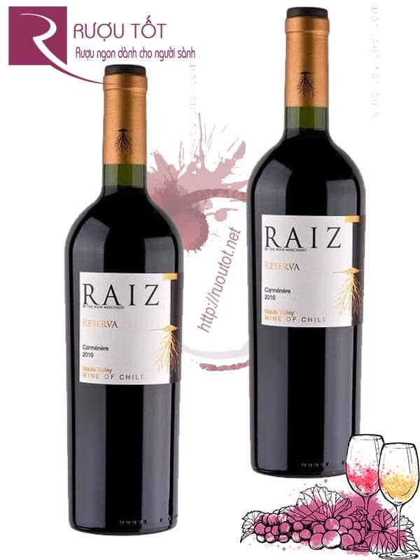 Rượu vang Chile Raiz Reserva Cabernet Sauvignon Cao Cấp