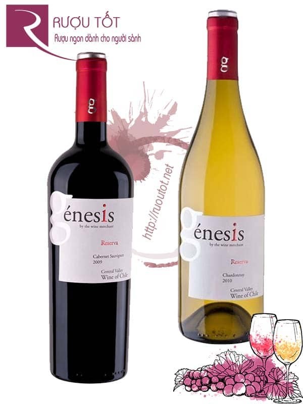 Vang Chile Genesis Reserva (Red – White) Thượng hạng