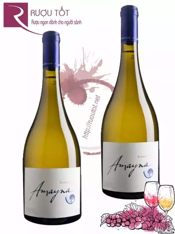 Vang Chile Amayna Sauvignon Blanc Thượng hạng