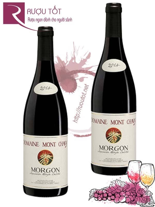 Vang Pháp Georges Duboeuf Domaine Mont Chavy Morgon