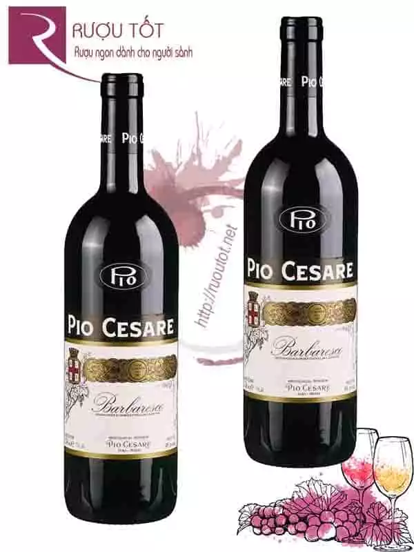 Vang Ý Pio Cesare Barbaresco Thượng hạng