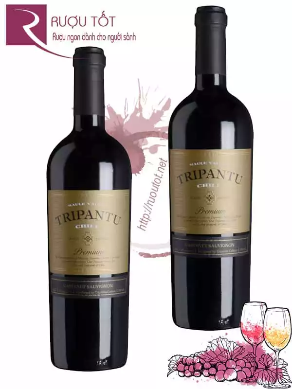 Vang Chile Tripantu Premium Cabernet Sauvignon Thượng hạng