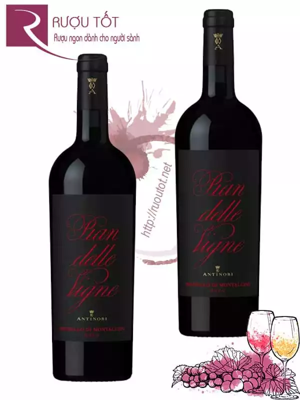 Rượu Vang Antinori Pian Delle Vigne