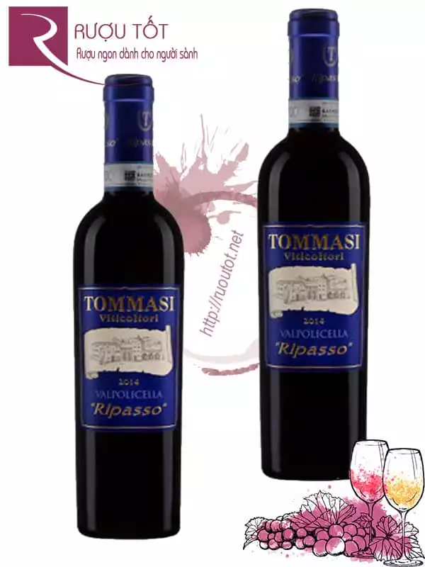 Rượu vang Tommasi Viticoltori Valpolicella Ripasso