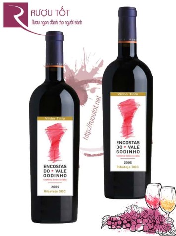 Rượu vang Encostas do Vale Godinho Organic Chiết khấu cao